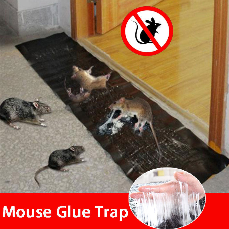 Moisture-proof Glue Rat Trap
